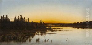 Marsh Landscape At Sunset by Willibald Wex