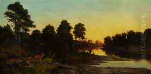Abenddammerung Am Wasser. Am Ufer Ein Reh Abenddammerung Am Wasser. Am Ufer Ein Reh