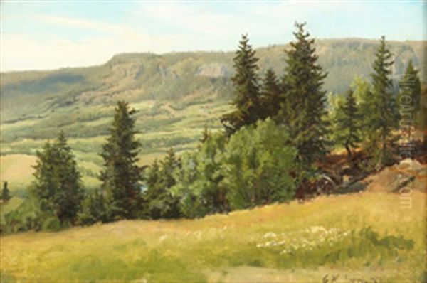Fra Lier - view 1