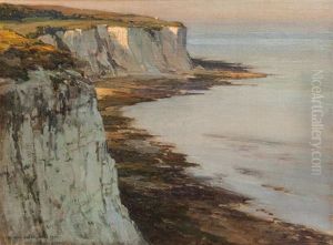 View Of Cliffs On The Sussex Coast by Harry van der Weyden