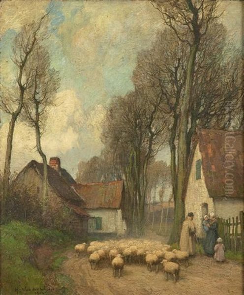 Moutons Dans Un Hameau De Village - view 1
