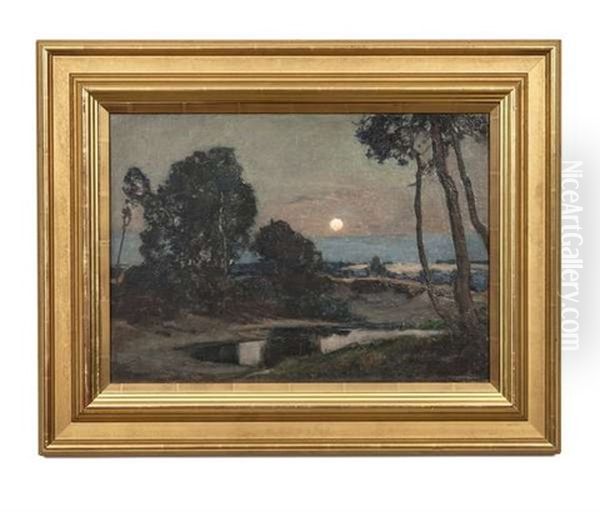 Coastal Landscape At Sunset - view 1