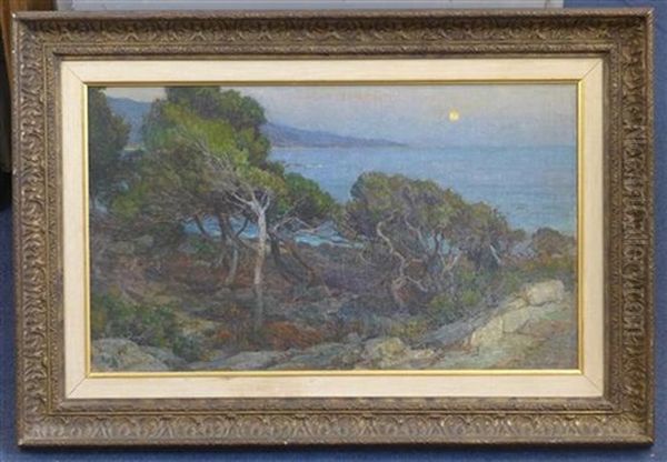 Mediterranean Coastal Landscape At Sunset - view 1