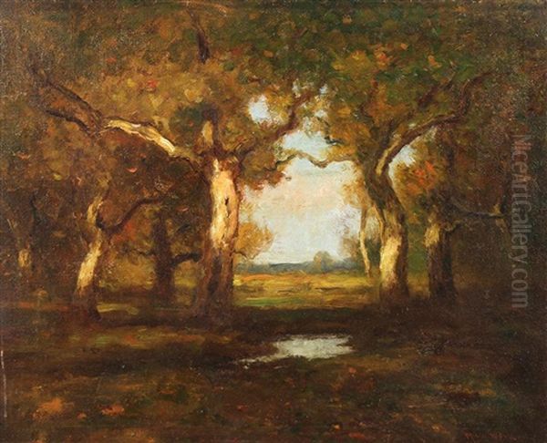 Forest Pool - view 1