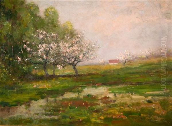 Apple Blossom Trees - view 1