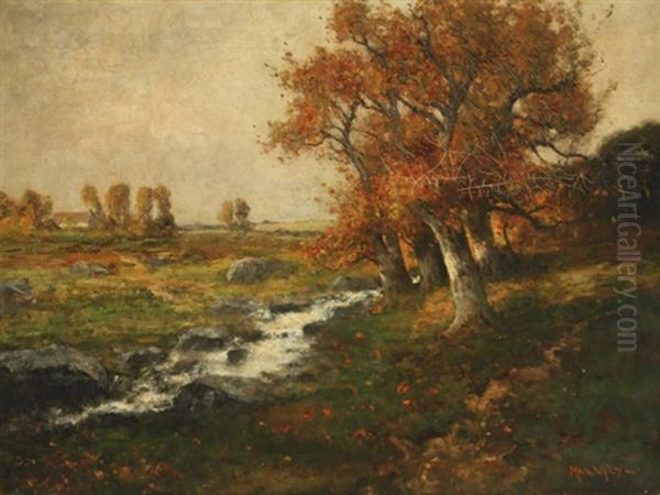Autumnal Landscape With Cascading Stream - view 1