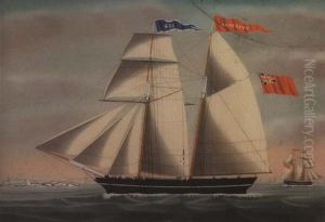 The "alacrity" Of Dover by Petrus Cornelis Weyts