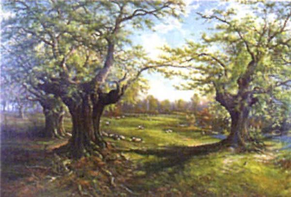 Woodland (boscombe Oak?) - view 1