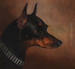 Head Study Of A Manchester Terrier
