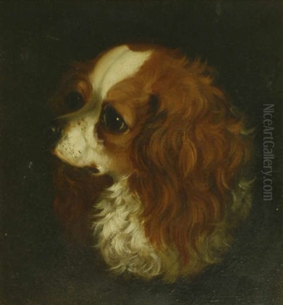 Head Of A King Charles Spaniel; Head Of A Terrier - view 1
