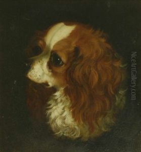 Head Of A King Charles Spaniel; Head Of A Terrier