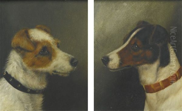 Two Heads Of Fox Terriers - view 1