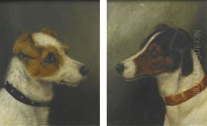Two Heads Of Fox Terriers by Alfred Wheeler