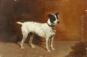 Portrait Of A Jack Russell Terrier