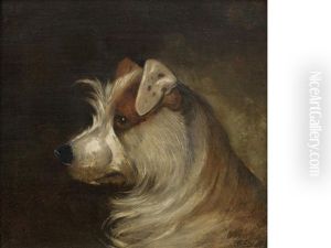 A Brown And White Terrier A Brown And White Terrier