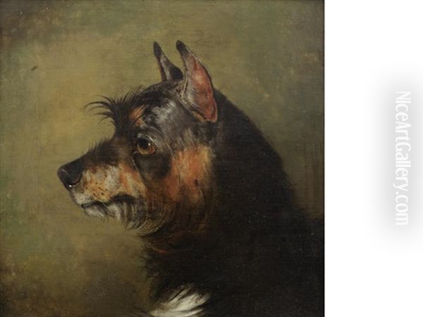 A Black And Tan Terrier - view 1