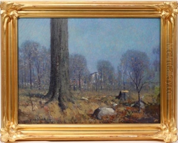 Landscape - view 1
