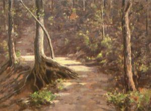 Woods Trail Woods Trail