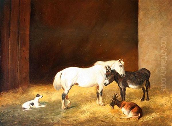 Horse, Donkey, Goat And Dog In Stall - view 1