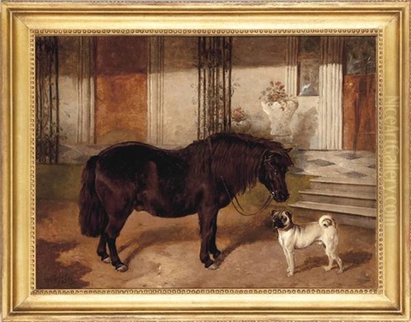 A Shetland Pony And A Pug - view 1
