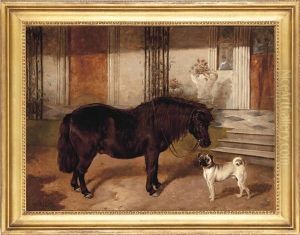 A Shetland Pony And A Pug