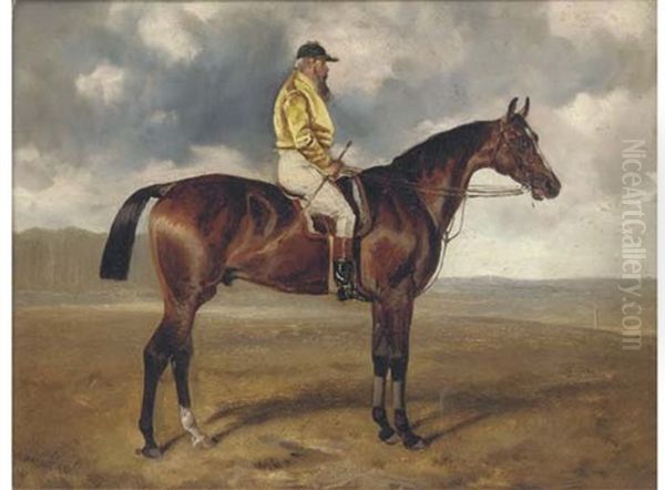 "drumhead" With Jockey Up - view 1