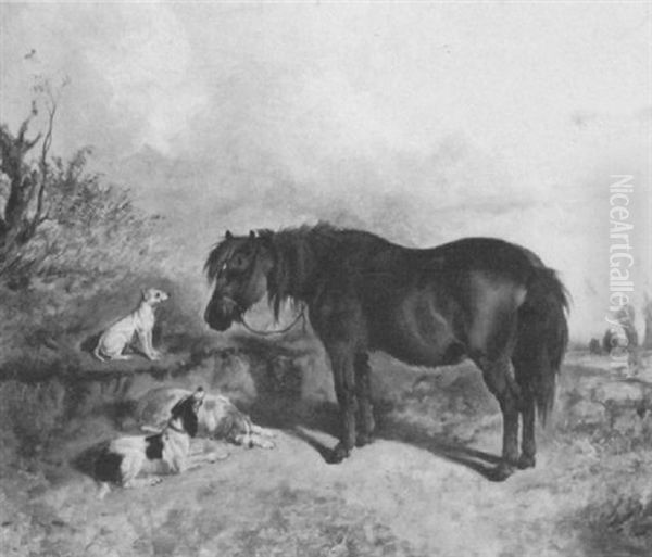 Pony And Spaniels In A Landscape - view 1