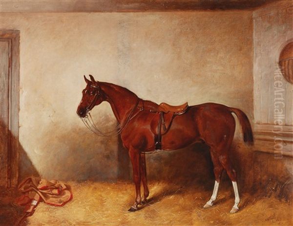 The Horse Bacchus - view 1