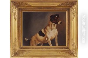 Study Of A Jack Russell