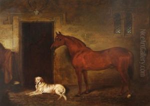 Horse And A Dog In A Stable Horse And A Dog In A Stable