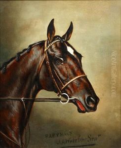 Papyrus' - The Head Of A Racehorse by John Alfred Wheeler