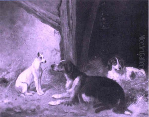 Setters In A Barn - view 1