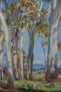 White Gum Trees Woodhouse Estate by George Whinnen