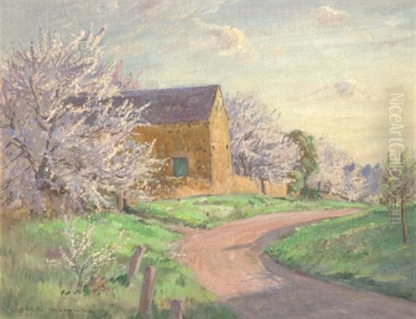 Almond Blossom Sunnyside - view 1