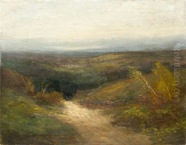 Expansive Landscape Looking Out To The Sea - view 1