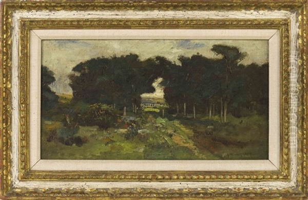 A Path Through The Woods - view 1