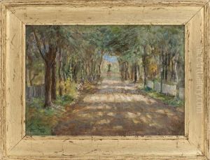 A Sunlit Path Through The Trees