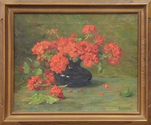 Carnations Carnations