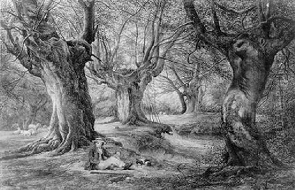 Burnham Beeches - view 1
