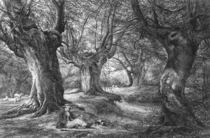 A Boy And His Dog In Sherwood Forest by George Harlow White