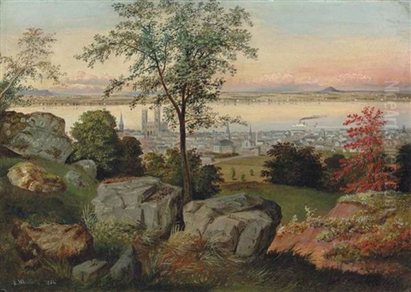 Montreal From The Mountain - view 1