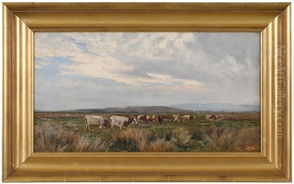 In The Meadows At Wareham - view 1
