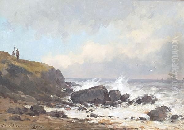 A View To Bass Rock - view 1