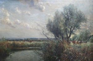 Cattle In Pasture, (dorset (isle Of Purbeck)?) by Frederick (William Newton) Whitehead