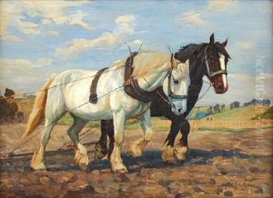 Horses Horses