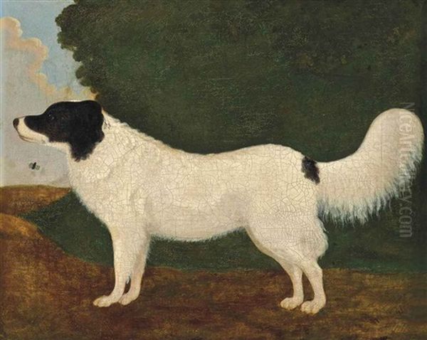 Dog And Bee In A Landscape - view 1