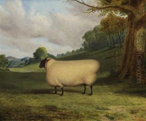 A Prize Sheep by Richard Whitford Jr.