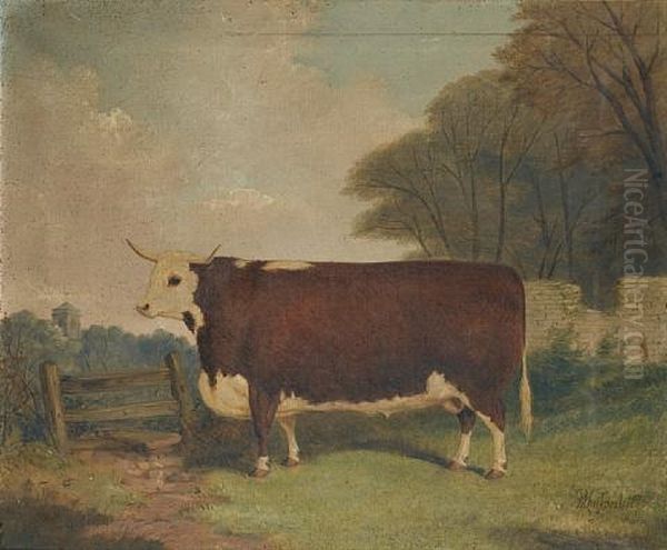 A Prize Cow By A Gate - view 1