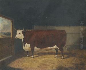 A Prize Cow In A Barn by Richard Whitford Jr.