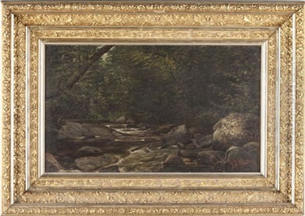 Forest Interior - view 1
